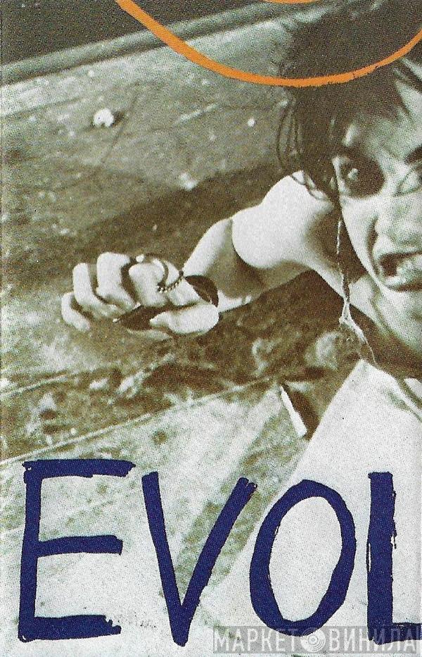  Sonic Youth  - EVOL