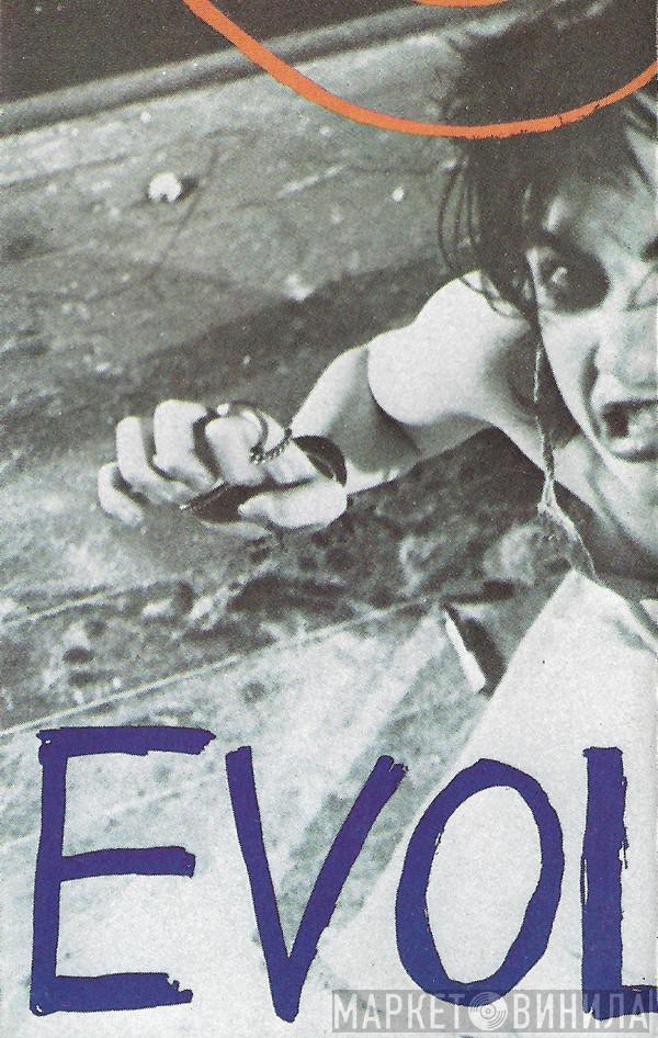  Sonic Youth  - EVOL