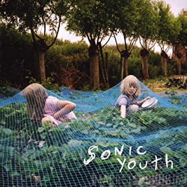  Sonic Youth  - Murray Street
