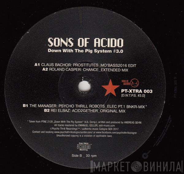  - Sons Of Acido [Down With The Pig System #3.0]
