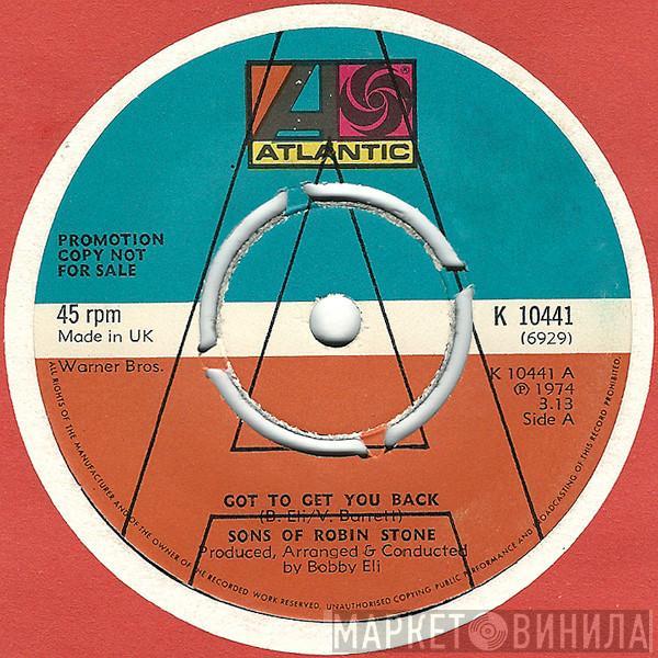  Sons of Robin Stone  - Got To Get You Back