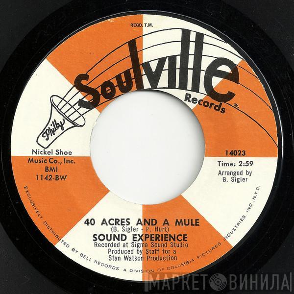 Sound Experience  - 40 Acres And A Mule