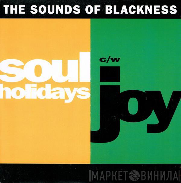 Sounds Of Blackness - Soul Holidays / Joy