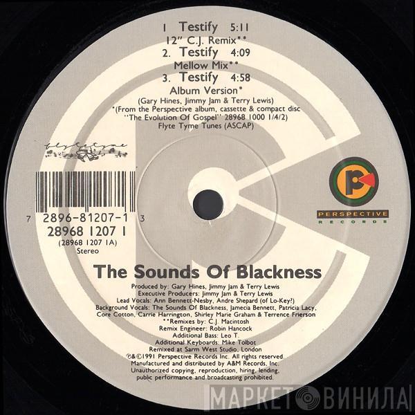  Sounds Of Blackness  - Testify