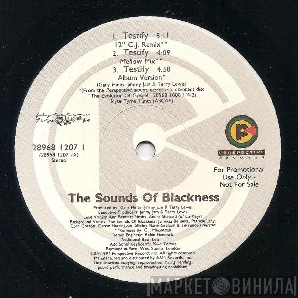  Sounds Of Blackness  - Testify