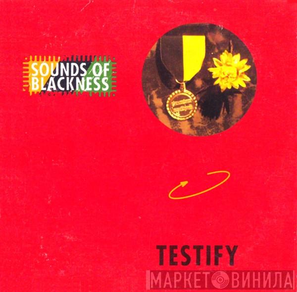  Sounds Of Blackness  - Testify