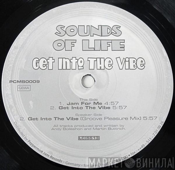 Sounds Of Life - Get Into The Vibe