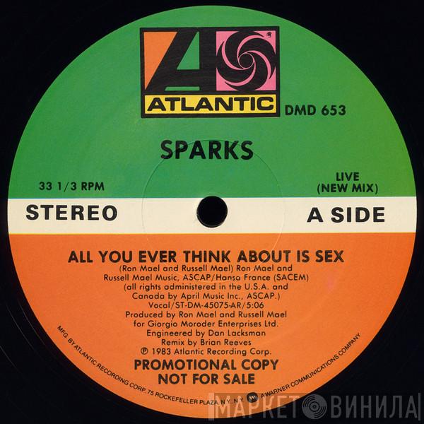 Sparks - All You Ever Think About Is Sex