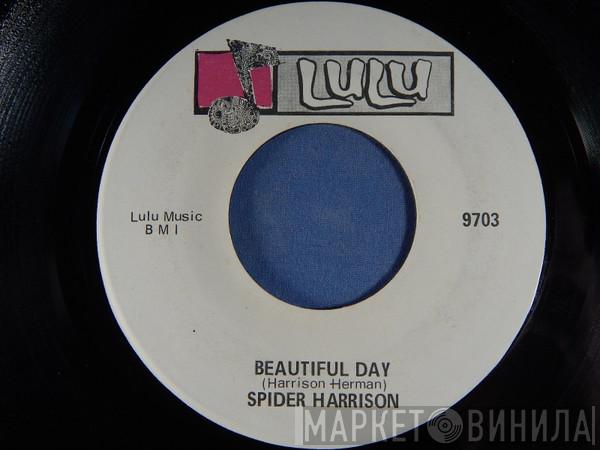 Spider Harrison - Beautiful Day