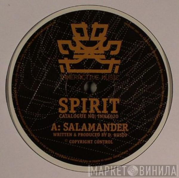 Spirit - Salamander / Holding Back