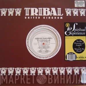 Spiritual Experience - In The Presence of Angels / Stretch My Hand