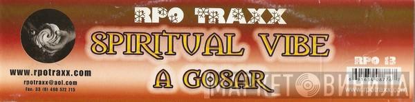 Spiritual Vibe - A Gosar