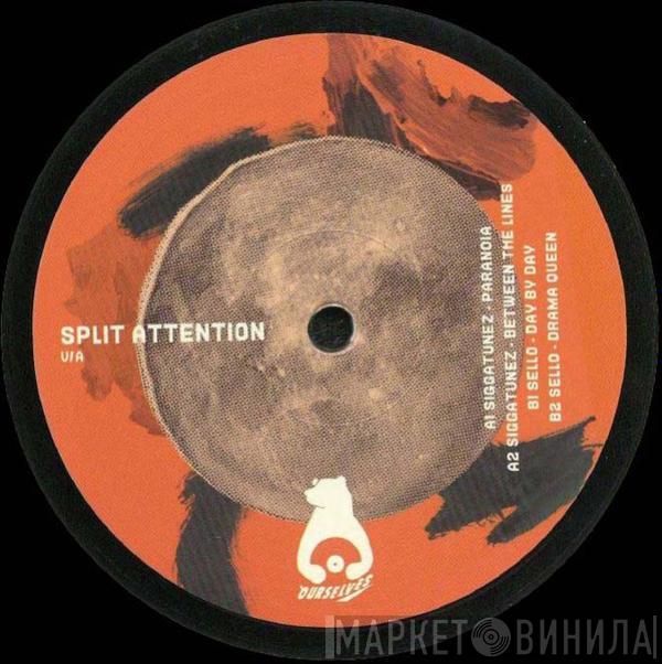  - Split Attention