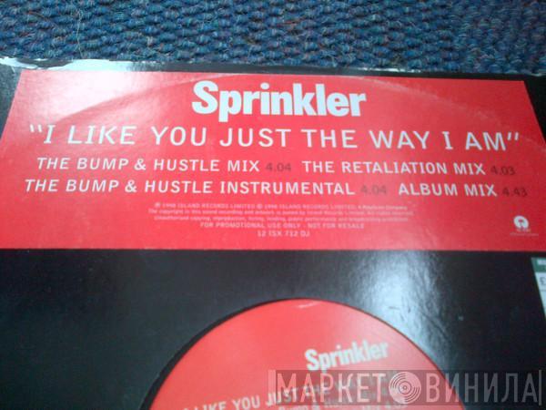 Sprinkler - I Like You Just The Way I Am