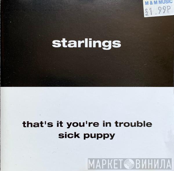 Starlings - That's It You're In Trouble