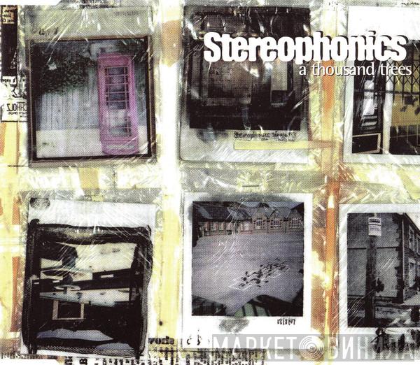 Stereophonics - A Thousand Trees