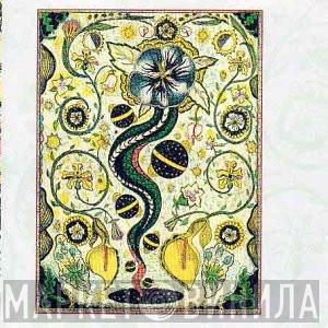 Steve Earle - I Feel Alright