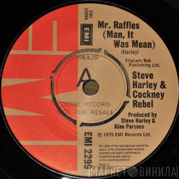 Steve Harley & Cockney Rebel - Mr. Raffles (Man, It Was Mean)