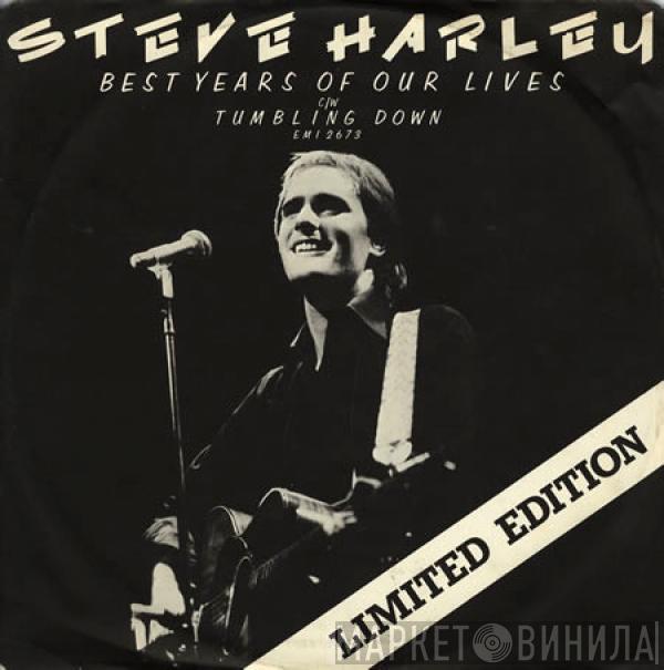 Steve Harley - Best Years Of Our Lives