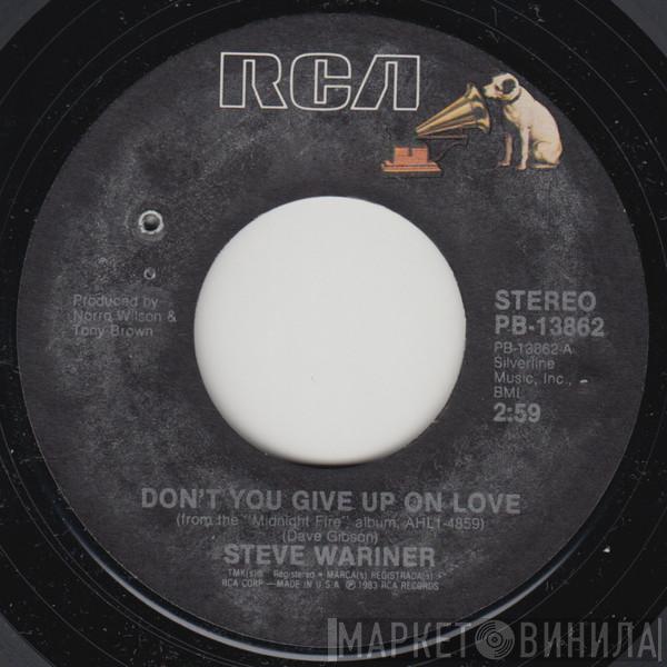  Steve Wariner  - Don't You Give Up On Love