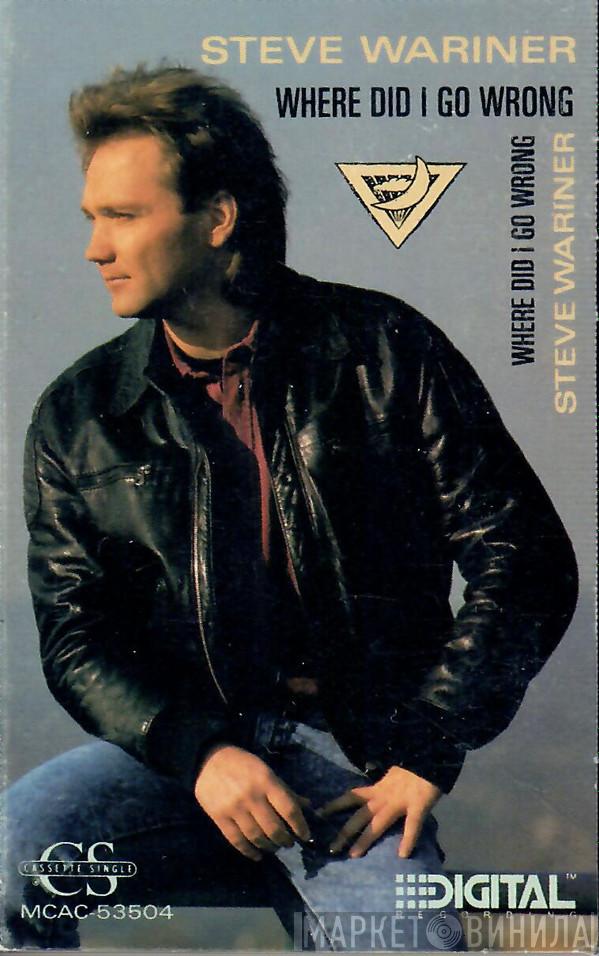  Steve Wariner  - Where Did I Go Wrong