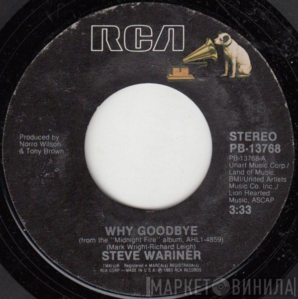  Steve Wariner  - Why Goodbye