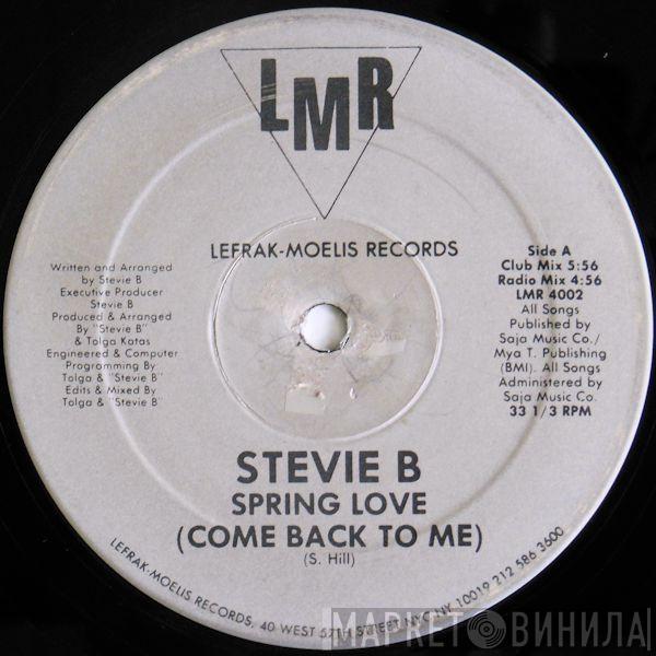 Stevie B - Spring Love (Come Back To Me)