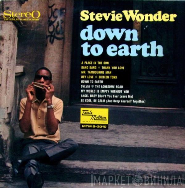  Stevie Wonder  - Down To Earth