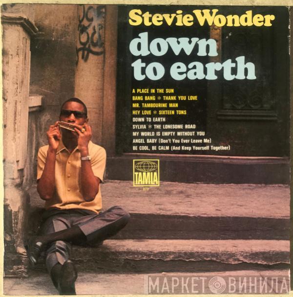  Stevie Wonder  - Down To Earth