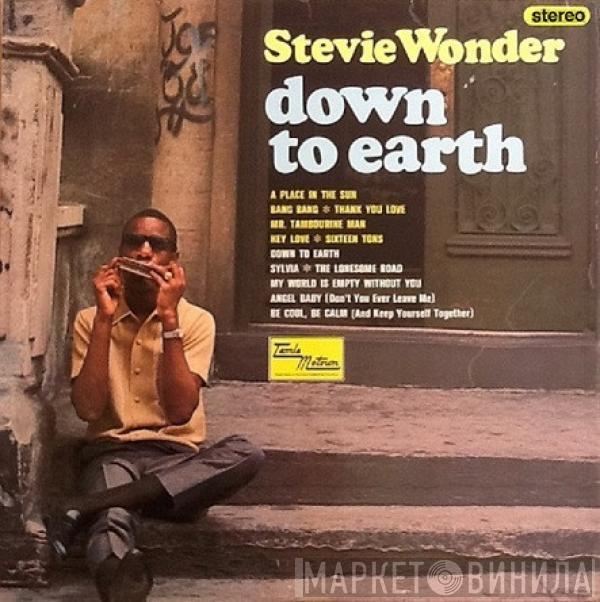  Stevie Wonder  - Down To Earth