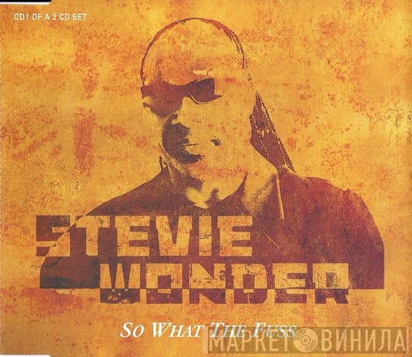 Stevie Wonder - So What The Fuss