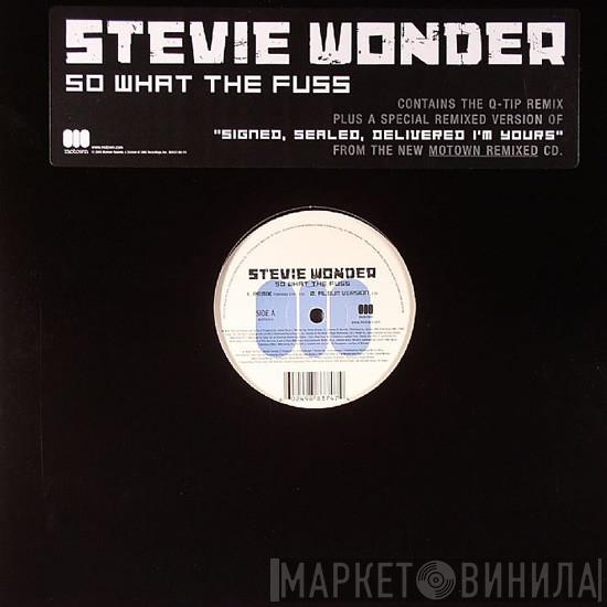 Stevie Wonder - So What The Fuss