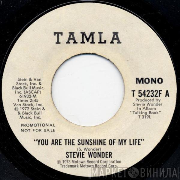  Stevie Wonder  - You Are The Sunshine Of My Life