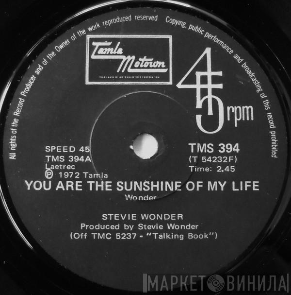  Stevie Wonder  - You Are The Sunshine Of My Life