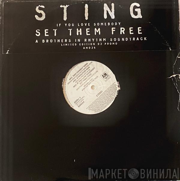  Sting  - If You Love Somebody Set Them Free (A Brothers In Rhythm Soundtrack)