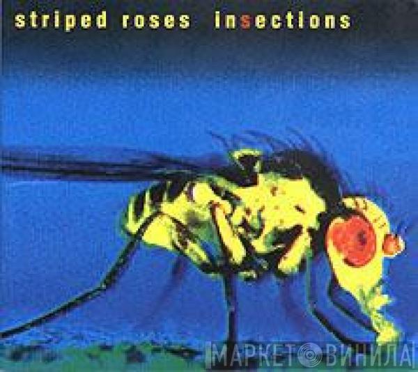 Striped Roses - Insections