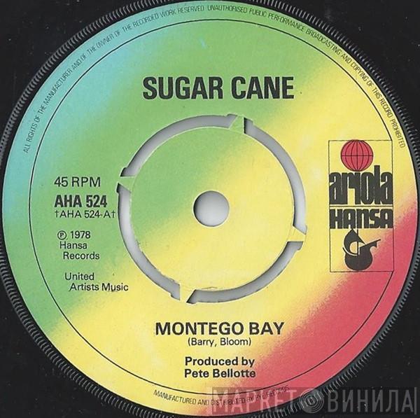 Sugar Cane - Montego Bay