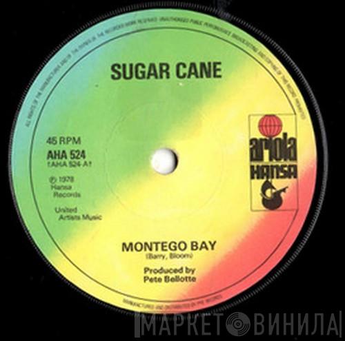 Sugar Cane - Montego Bay