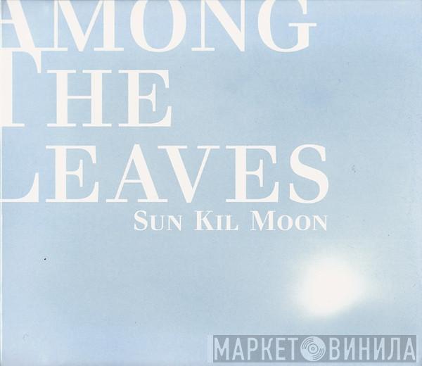 Sun Kil Moon - Among The Leaves