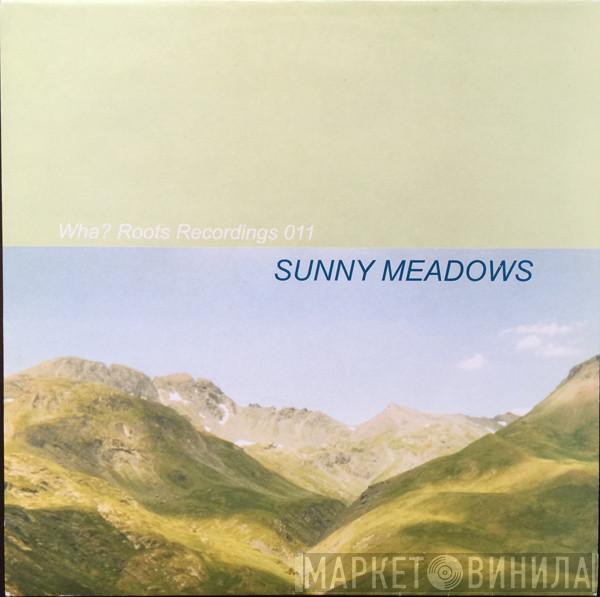 Sunny Meadows - Float Afronaut In Space