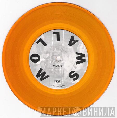 Swallow  - Trapped / Guts