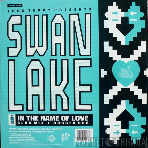 Swan Lake - In The Name Of Love / The Dream