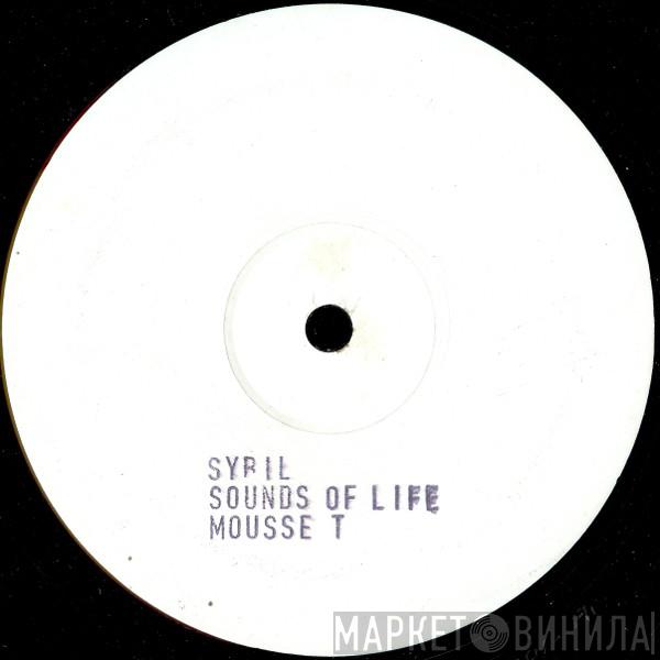 Sybil - When I Fall In Love