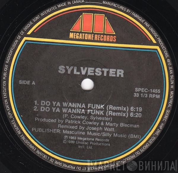 Sylvester - Do Ya Wanna Funk (Remix)