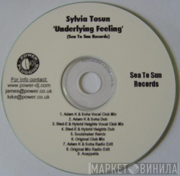  Sylvia Tosun  - Underlying Feeling