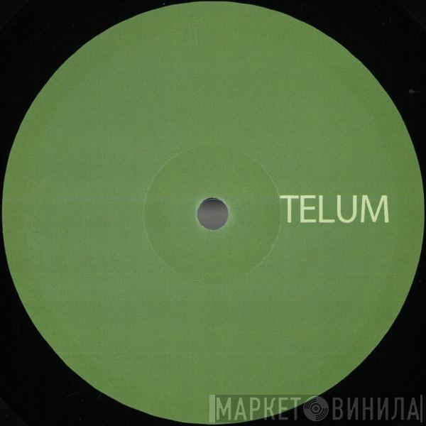 - TELUM013
