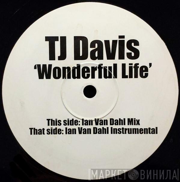 TJ Davis - Wonderful Life
