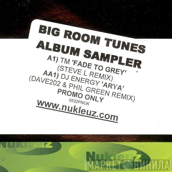 TM , DJ Energy - Big Room Tunes Album Sampler