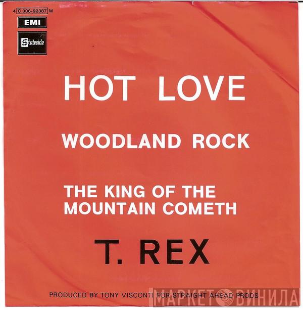  T. Rex  - Hot Love