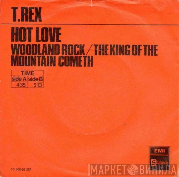  T. Rex  - Hot Love